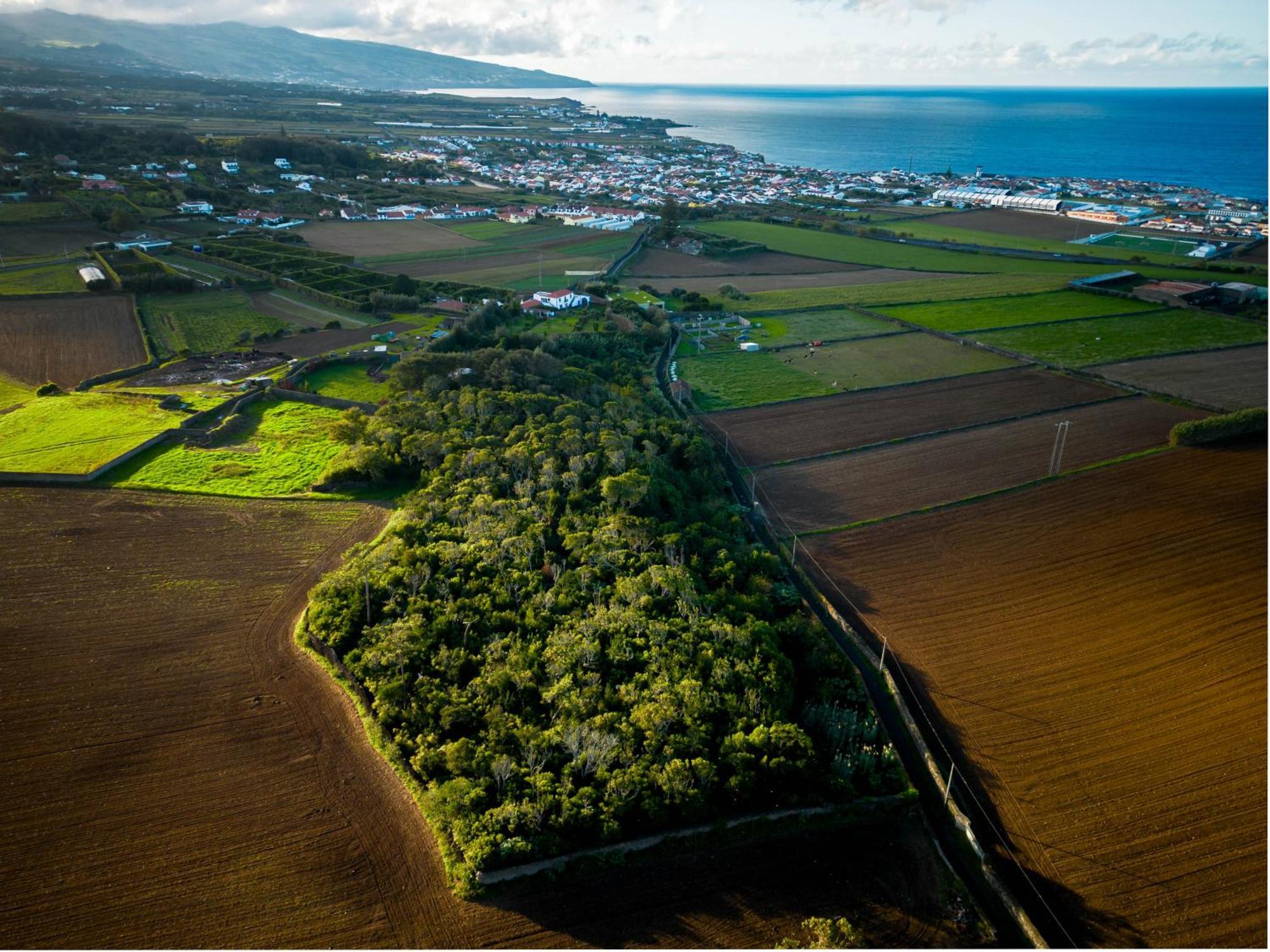 Quinta Morazes Casas De Campo Ribeira Grande Zewnętrze zdjęcie