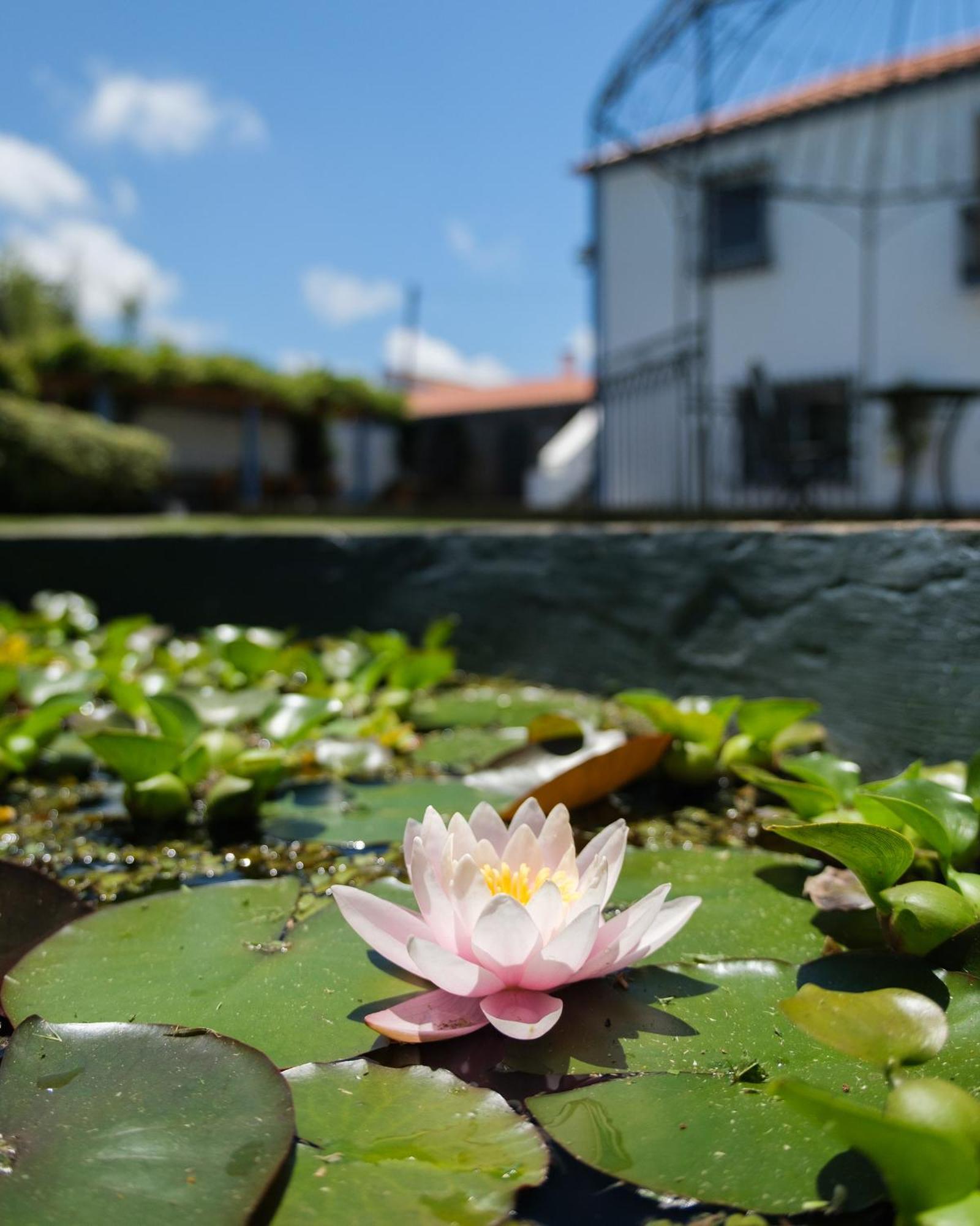 Quinta Morazes Casas De Campo Ribeira Grande Zewnętrze zdjęcie